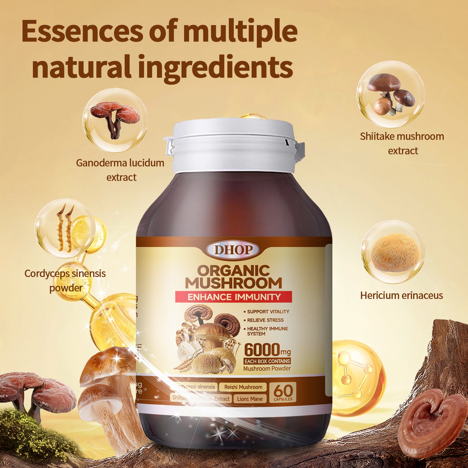 Cordyceps & Matsutake Mushroom Capsules – Herbal Wellness Supplement